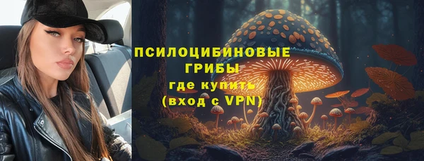 ГАЛЛЮЦИНОГЕННЫЕ ГРИБЫ Михайловка